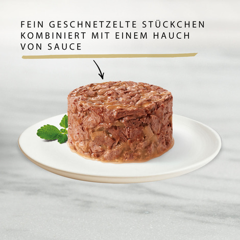 GOURMET Gold Raffiniertes Ragout mit Lachs