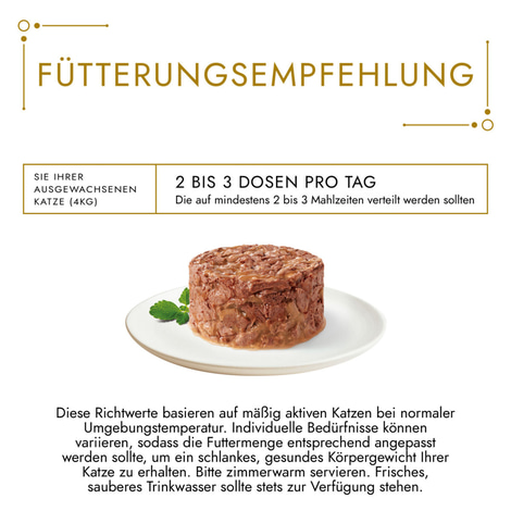 GOURMET Gold Raffiniertes Ragout mit Lachs