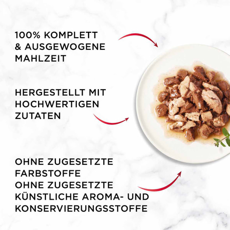 GOURMET Mon Petit Duetto Sorten-Mix mit Fisch