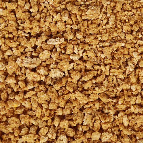 GrainCat Naturklumpstreu