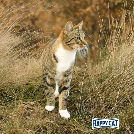Happy Cat Bio Pouch Huhn & Ente