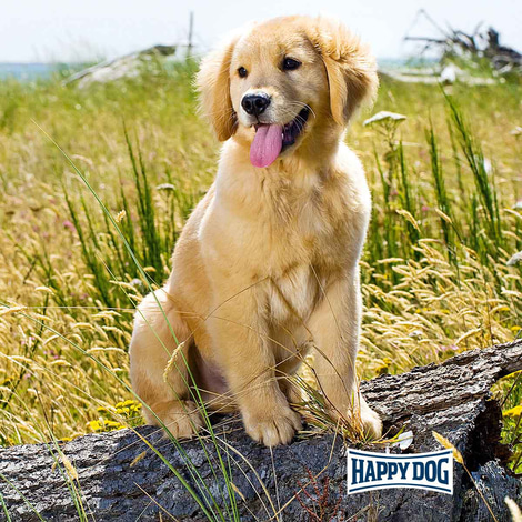 Happy Dog NaturCroq Puppy
