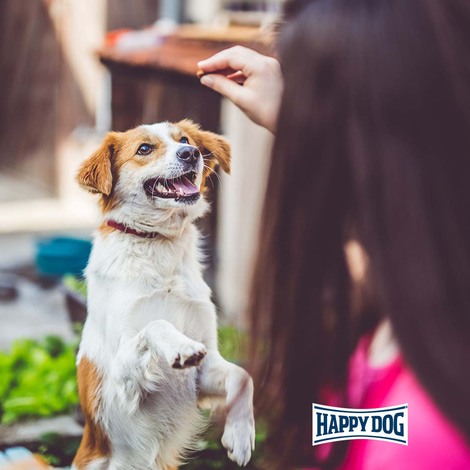 Happy Dog SoftSnack Toscana