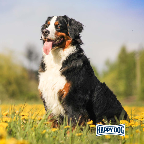 Happy Dog Supreme Care Sano N 7,5 kg