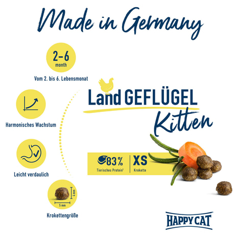 Happy Cat Young Kitten Land Geflügel