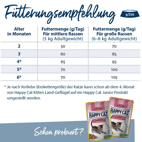 Happy Cat Young Kitten Land Geflügel