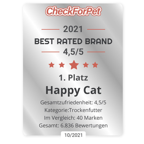 Happy Cat Young Kitten Land Geflügel