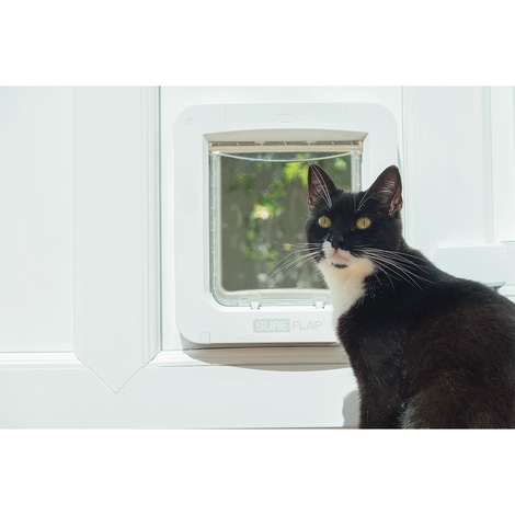 SureFlap Mikrochip Katzenklappe