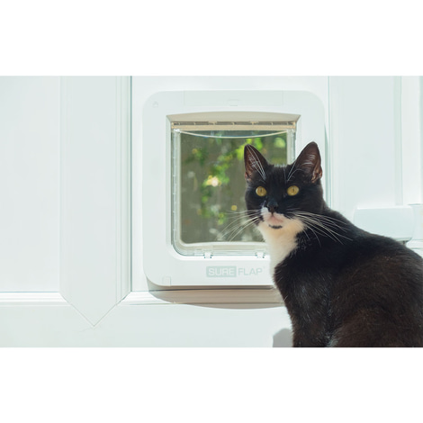 SureFlap Mikrochip Katzenklappe