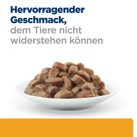 Hill's Prescription Diet c/d MC mit Lachs 12x85g