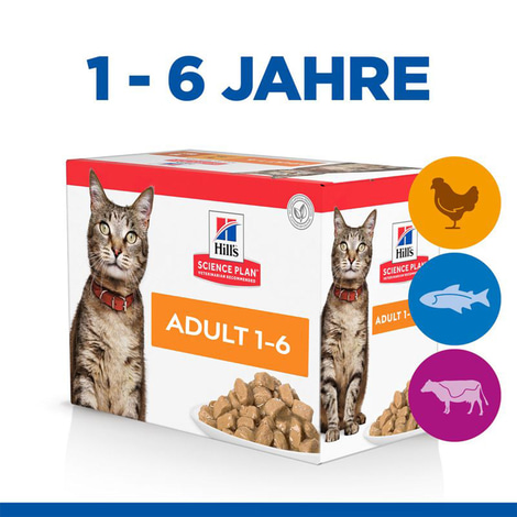 Hill's Science Plan Adult Multipack Huhn, Rind & Fisch12x85g