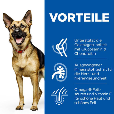 Hill's Science Plan Hund Large Breed Mature Adult 6+ Huhn 14kg