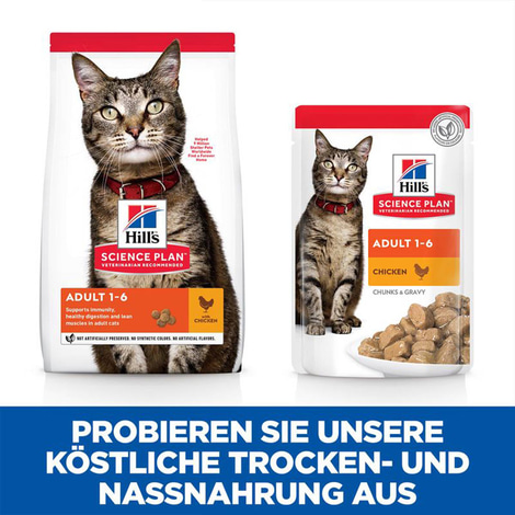 Hill's Science Plan Katze Adult Huhn 10kg