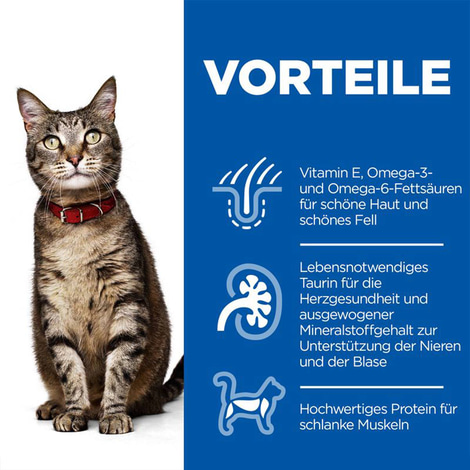 Hill's Science Plan Katze Adult Lamm und Reis 10kg