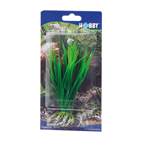 Hobby Aquariumdekoration Cyperus 16 cm
