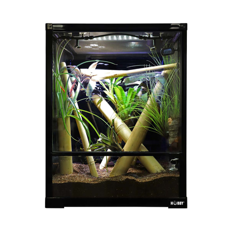 Hobby Faltterrarium Terra Fix & Easy