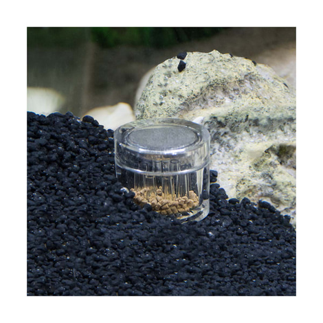 Hobby Planarienfalle Planaria X mit 2x Köder