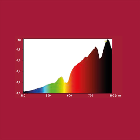 Hobby Sunlight Eco