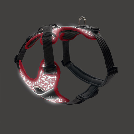 Hunter Geschirr Divo Reflect rot