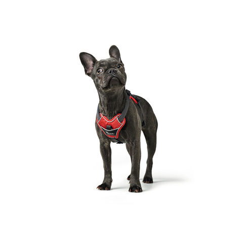 Hunter Geschirr Divo rot