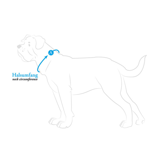 Hunter Halsung Divo hellblau