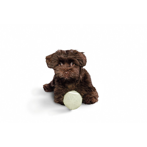 Hunter Hundespielzeug Leuchtball Kisa