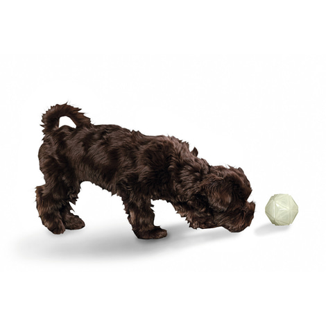 Hunter Hundespielzeug Leuchtball Kisa