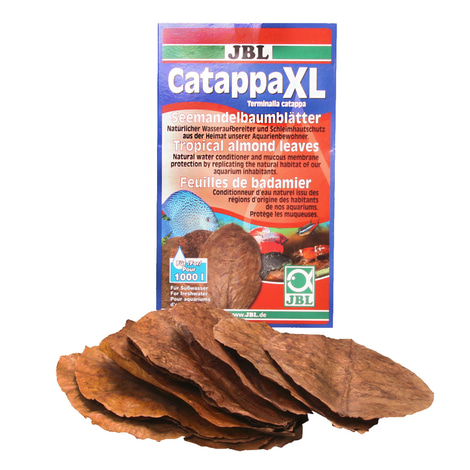 JBL Catappa XL Seemandelbaumblätter