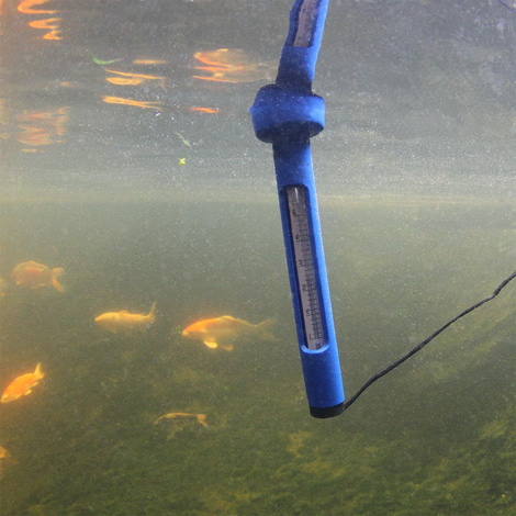 JBL Pond Schwimm-Thermometer