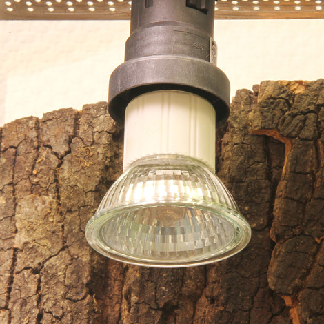 JBL ReptilDay Halogen