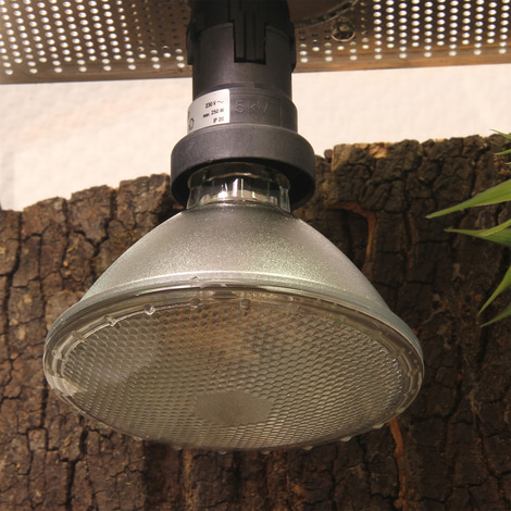 JBL ReptilDay Halogen