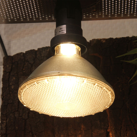 JBL ReptilDay Halogen