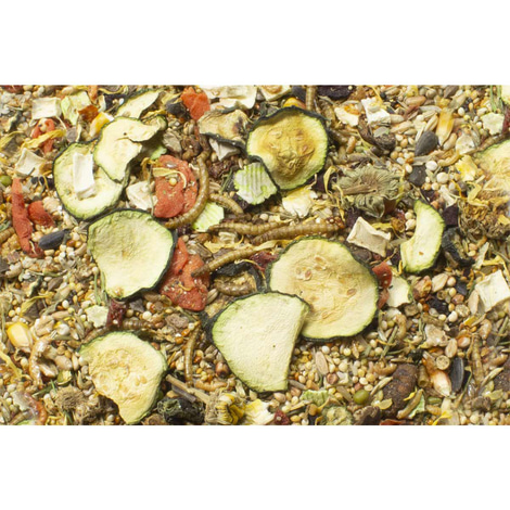 JR Farm Hamster Adult 500g