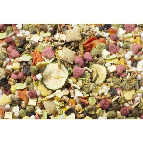 JR Farm Food Ratte Adult 500g