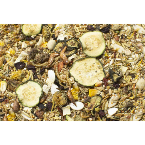 JR Farm Food Zwerghamster Adult 500g