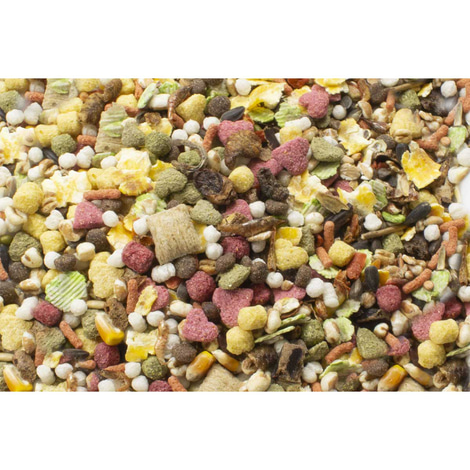JR Farm Ratten-Schmaus 600g