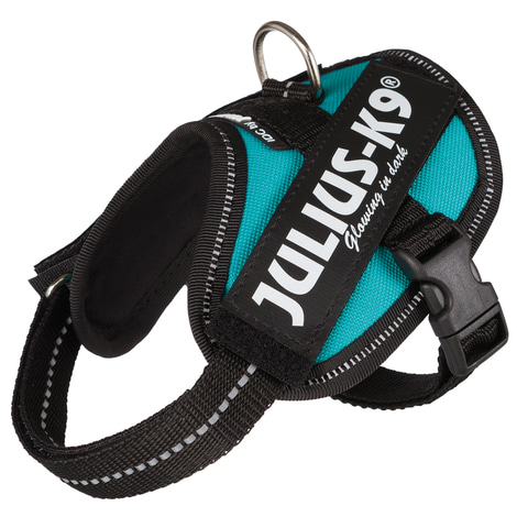 Julius-K9 IDC Geschirr petrol