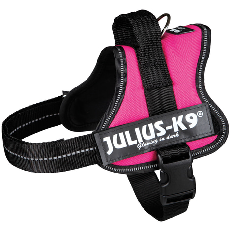 Julius-K9 Powergeschirr fuchsia