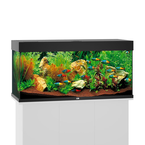Juwel Rio 180 LED Komplett Aquarium ohne Schrank