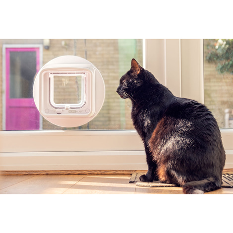 SureFlap Mikrochip Katzenklappe Connect + Hub