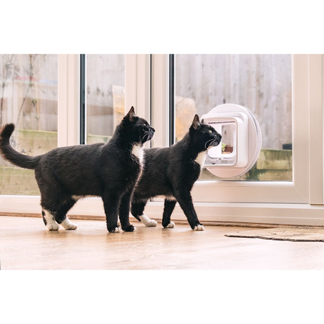 SureFlap Mikrochip Katzenklappe Connect + Hub