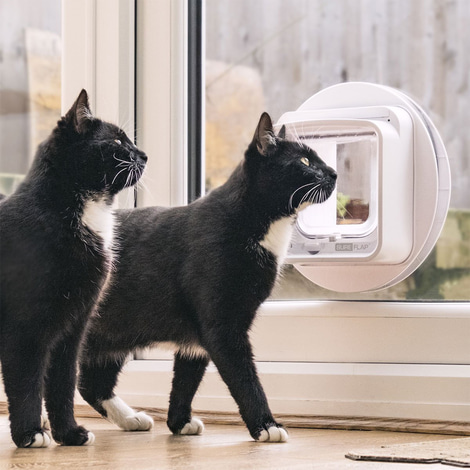 SureFlap Mikrochip Katzenklappe Connect + Hub