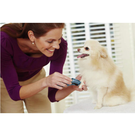 Oster kabelloser Mini Trimmer