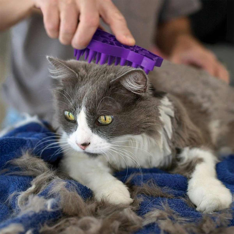 KONG Cat Bürste Zoom Groom
