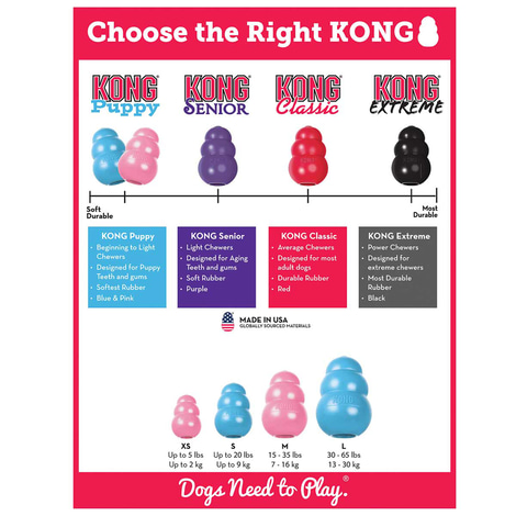 KONG Puppy M