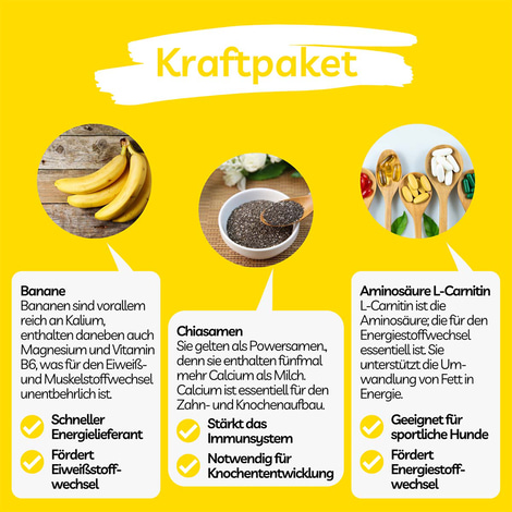 BugKeks Adult gelb Banane & Chiasamen