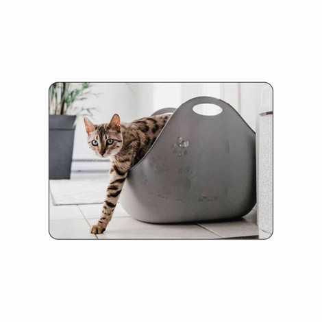 LitterLocker® Katzentoilette LitterBox weiß