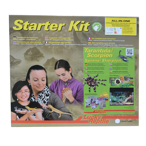 Lucky Reptile Terrarium Starter Kit 50 cm "Spinne + Skorpion"