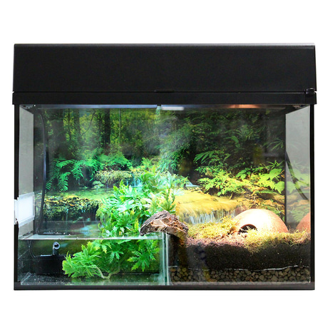 Lucky Reptile Terrarium Starter Kit 80 cm "Bombina/Pacman"