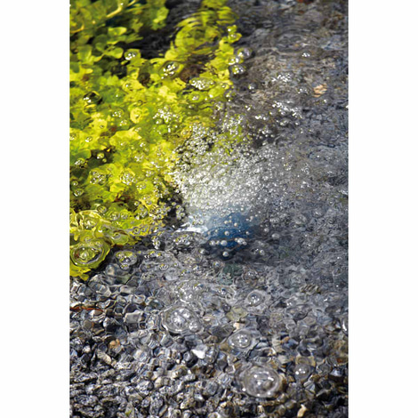 Oase AquaOxy Teichbelüfter